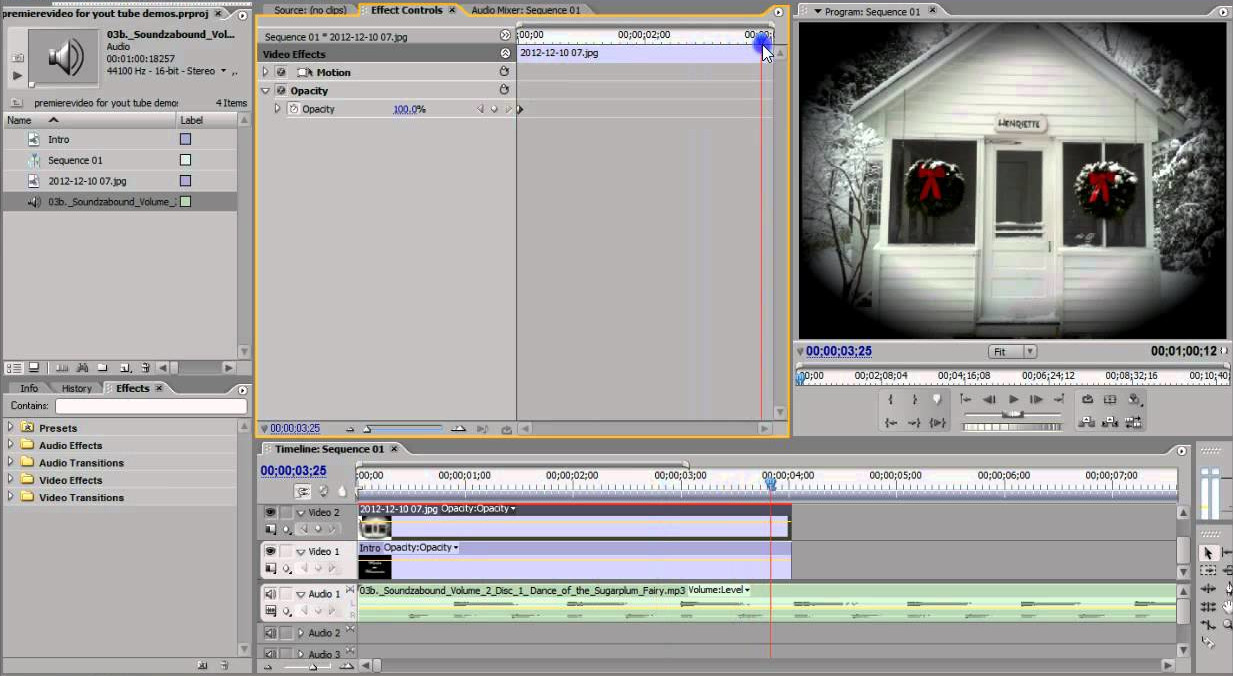 A Screenshot of Adobe Premiere CS2